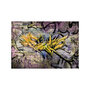 Voir la diapositive 2 : Paris Prix Papier Peint  Stunning Graffiti