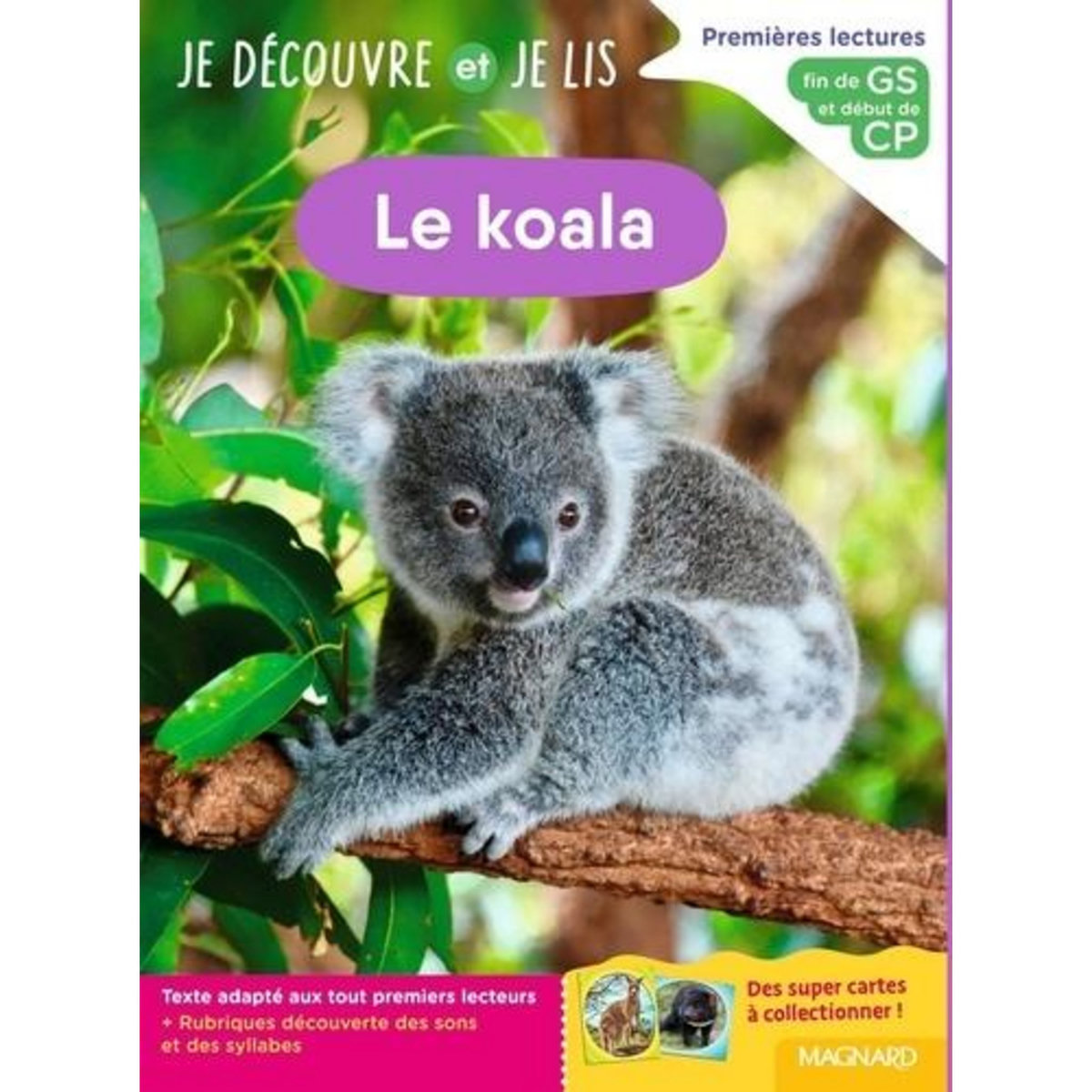 LE KOALA. FIN DE GS ET DEBUT DE CP, Gombert Caroline