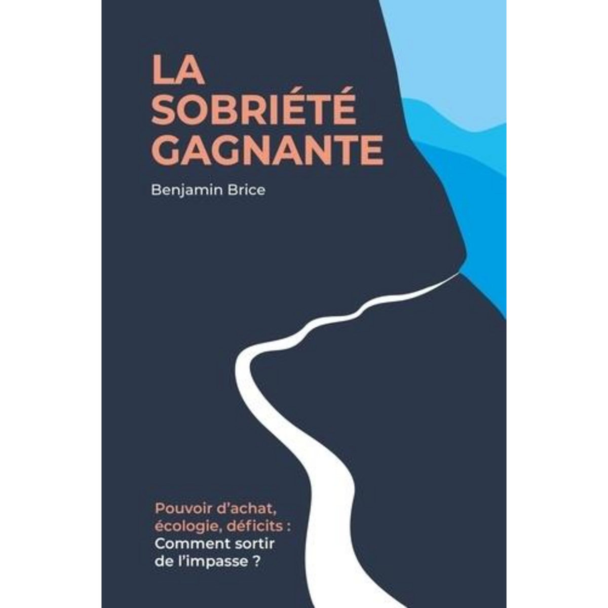LA SOBRIETE GAGNANTE. POUVOIR D'ACHAT, ECOLOGIE, DEFICITS : COMMENT SORTIR DE L'IMPASSE ?, Brice Benjamin