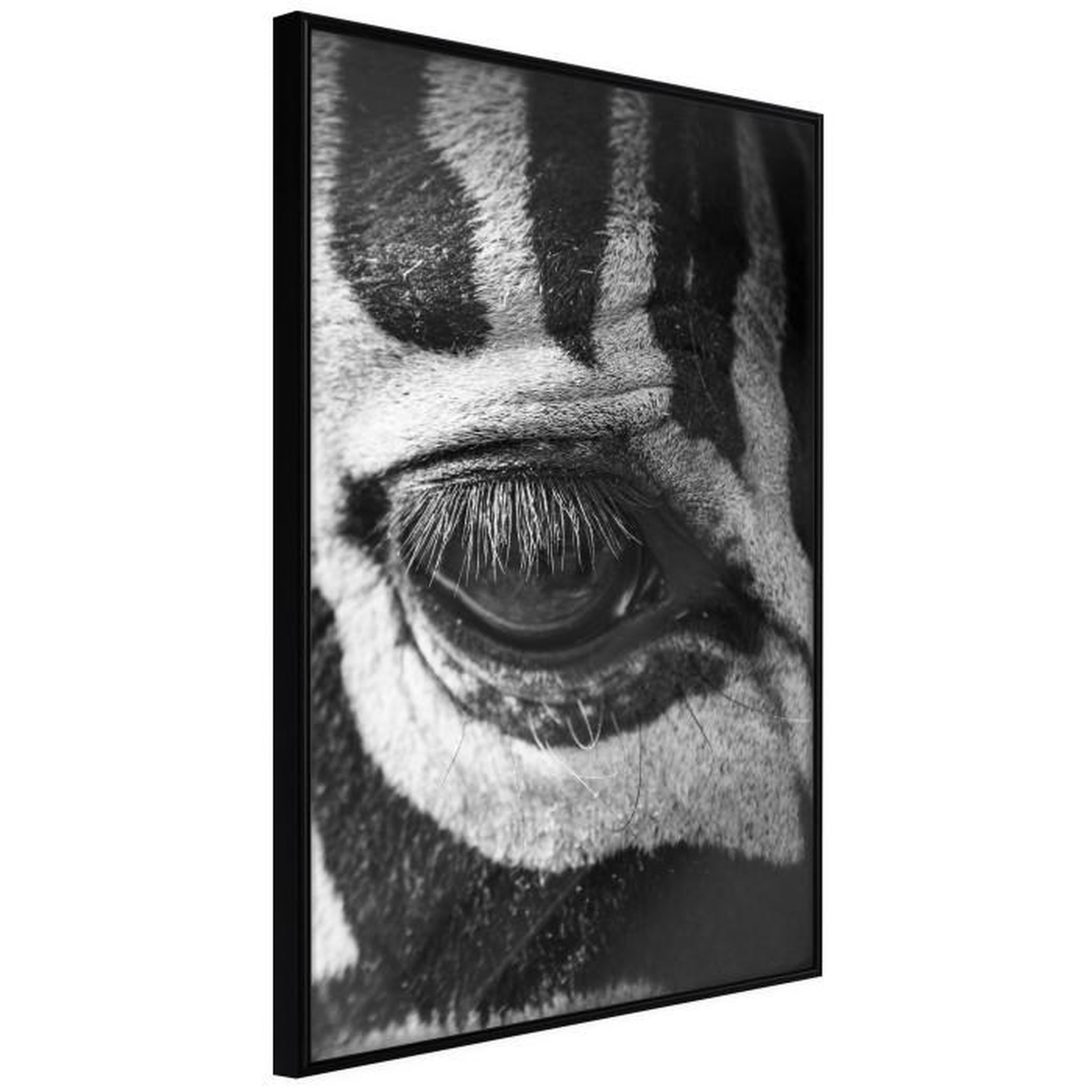 Paris Prix Affiche Murale Encadrée  Zebra Is Watching You. Coloris disponibles : Noir, Jaune