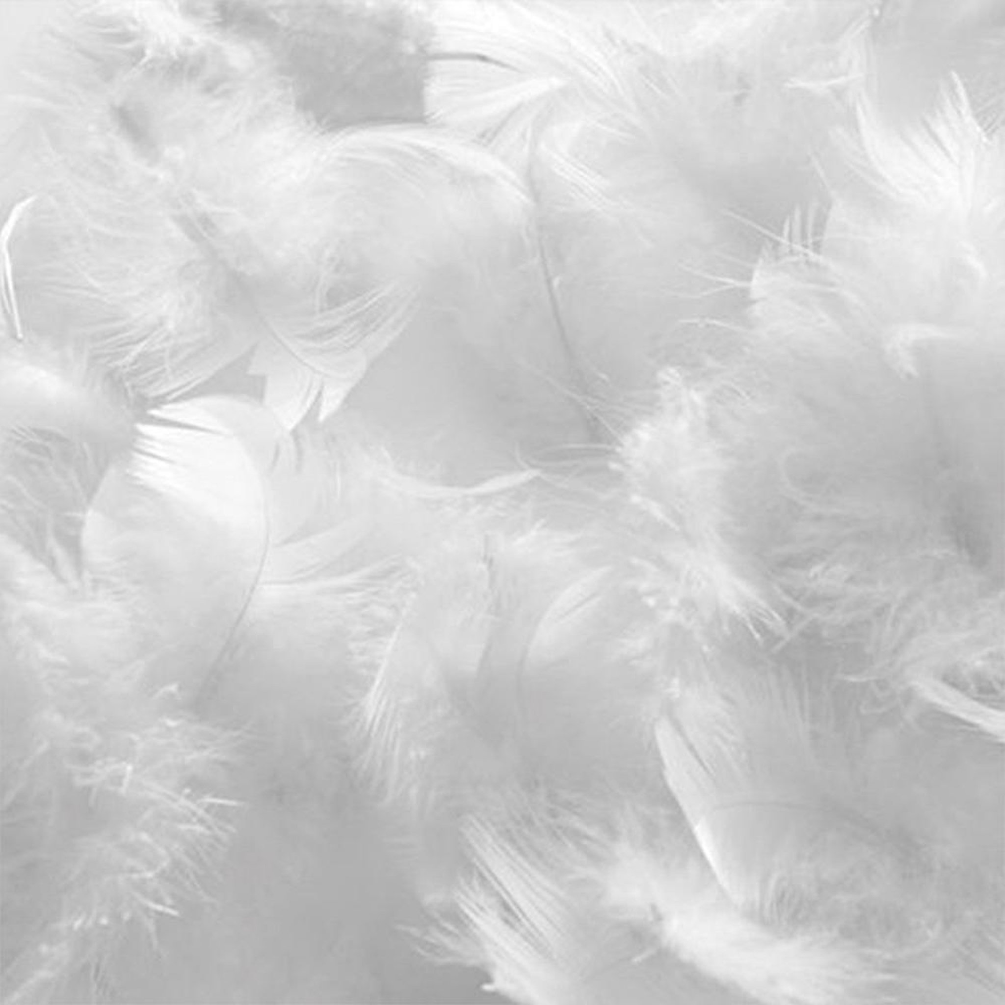 Voir la diapositive 5 : OLYMPE LITERIE Olympe literie | oreiller natura | duvet & plumes
