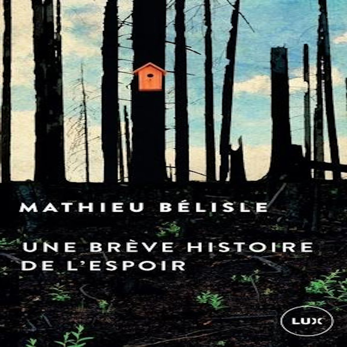 UNE BREVE HISTOIRE DE L'ESPOIR, Bélisle Mathieu
