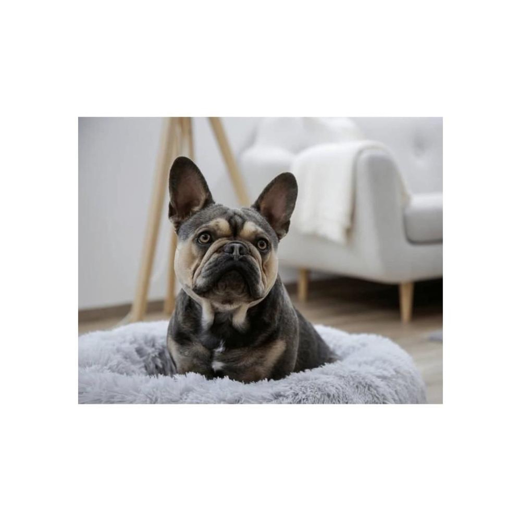 Voir la diapositive 4 : KERBL Corbeille - KERBL - Fluffy - Ø60 x 18 cm - Gris clair