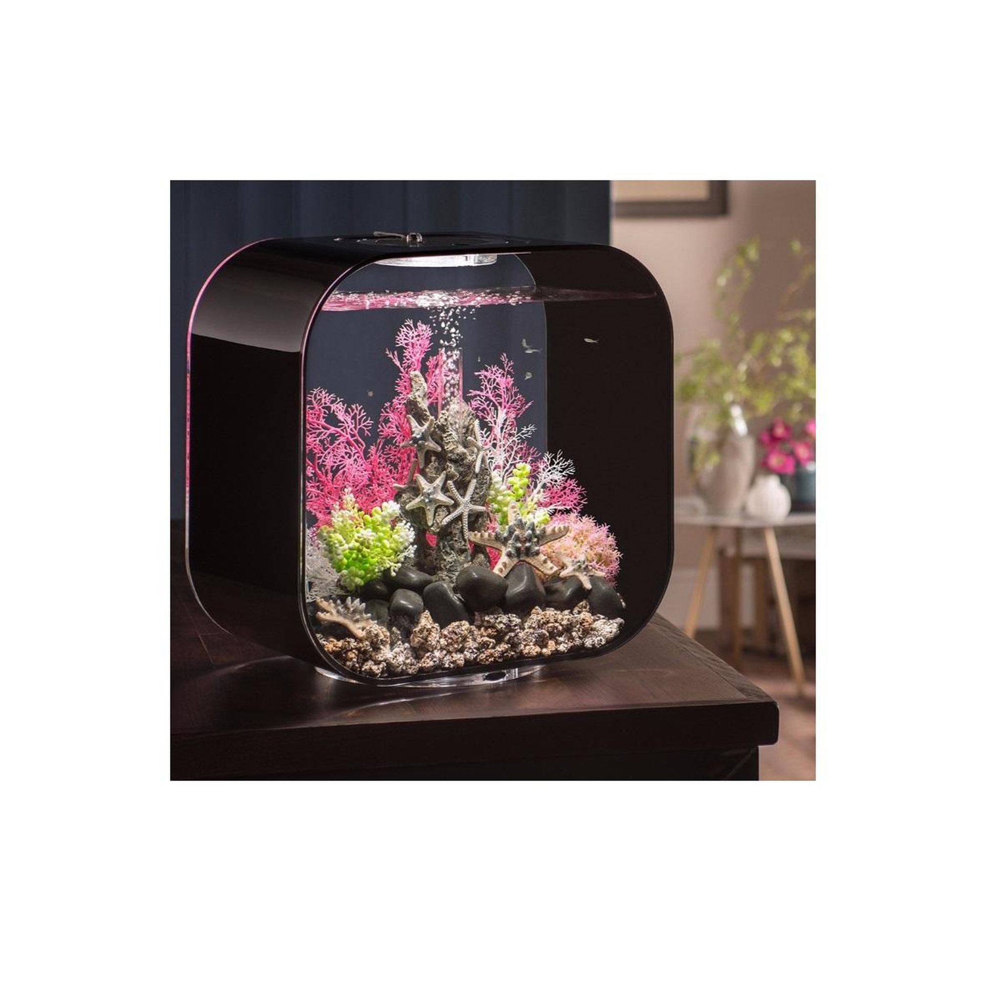 Voir la diapositive 2 : Oase Aquarium 30l contours noir - life 30mcr black