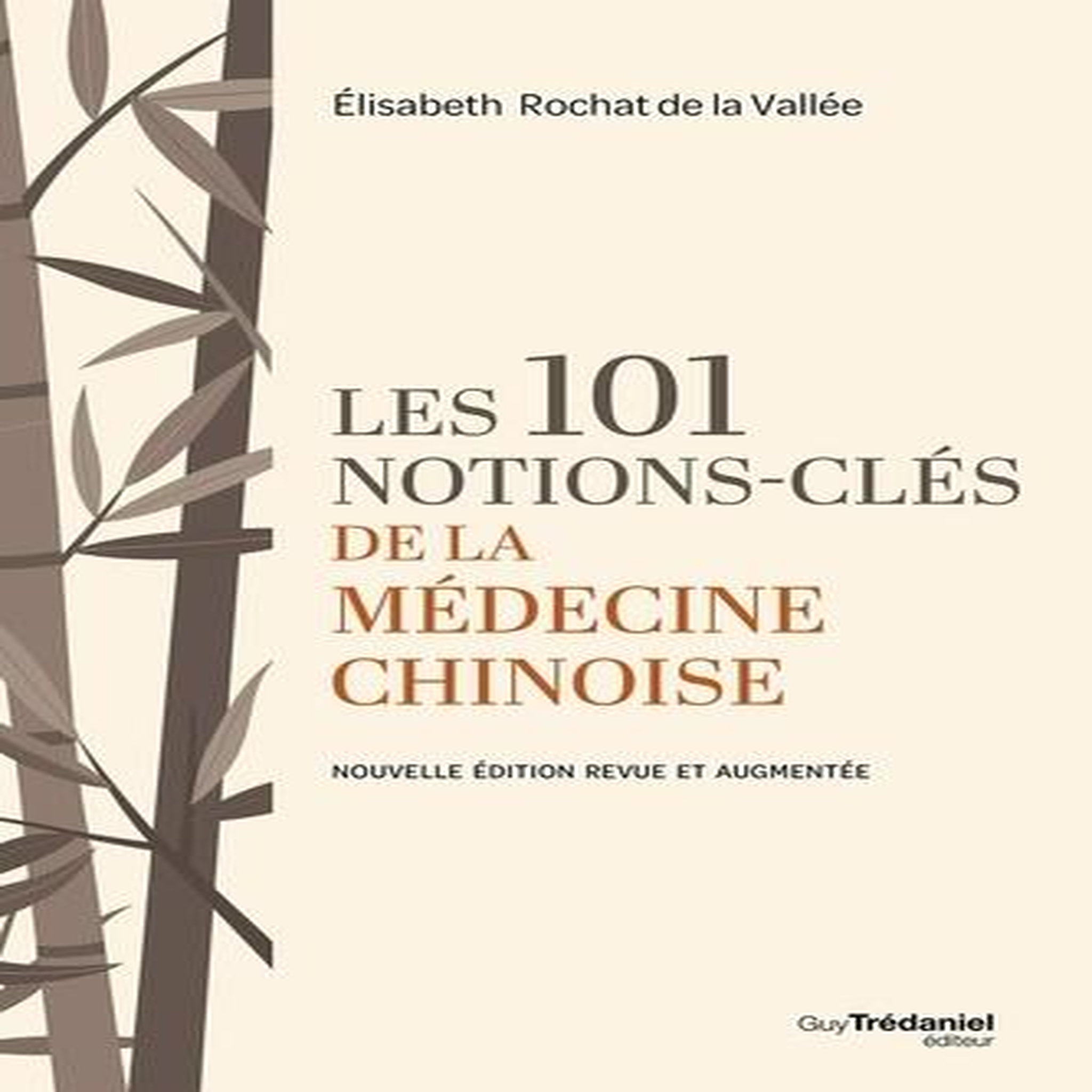 LES 101 NOTIONS-CLES DE LA MEDECINE CHINOISE. EDITION REVUE ET AUGMENTEE, Rochat de La Vallée Elisabeth