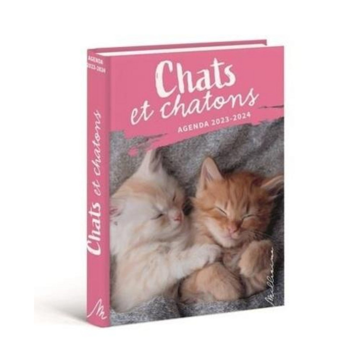 AGENDA CHATS. 2024-2025, Miaou
