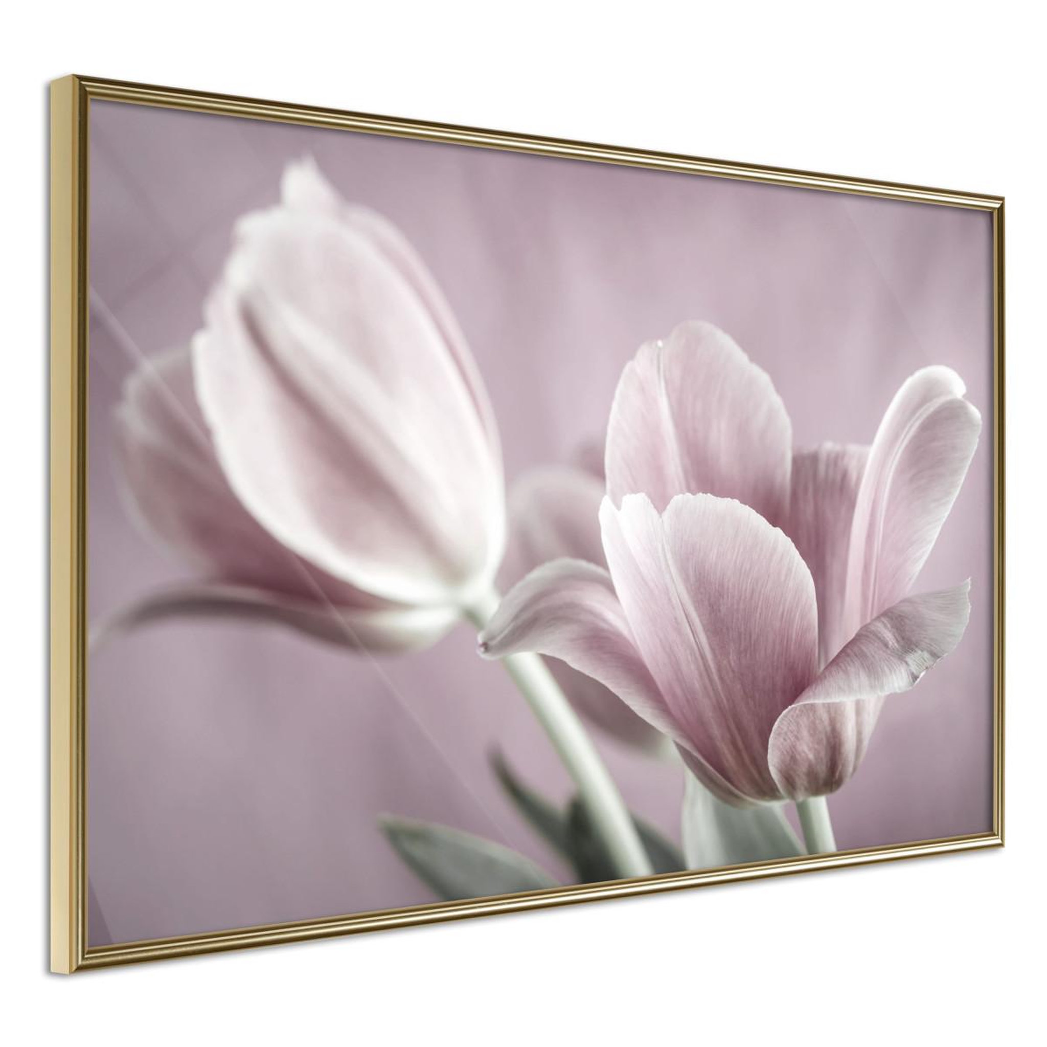 Voir la diapositive 1 : Paris Prix Affiche murale encadrée  pastel tulips i