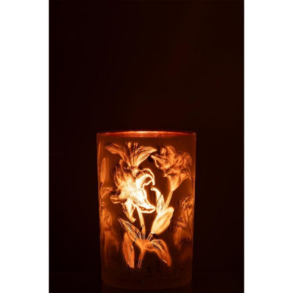 Paris Prix Photophore Déco en Verre Mat  Feuilles  18cm Multicolore