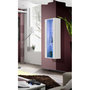 Voir la diapositive 2 : Paris Prix Vitrine LED Murale Design  Fly II  126cm Blanc