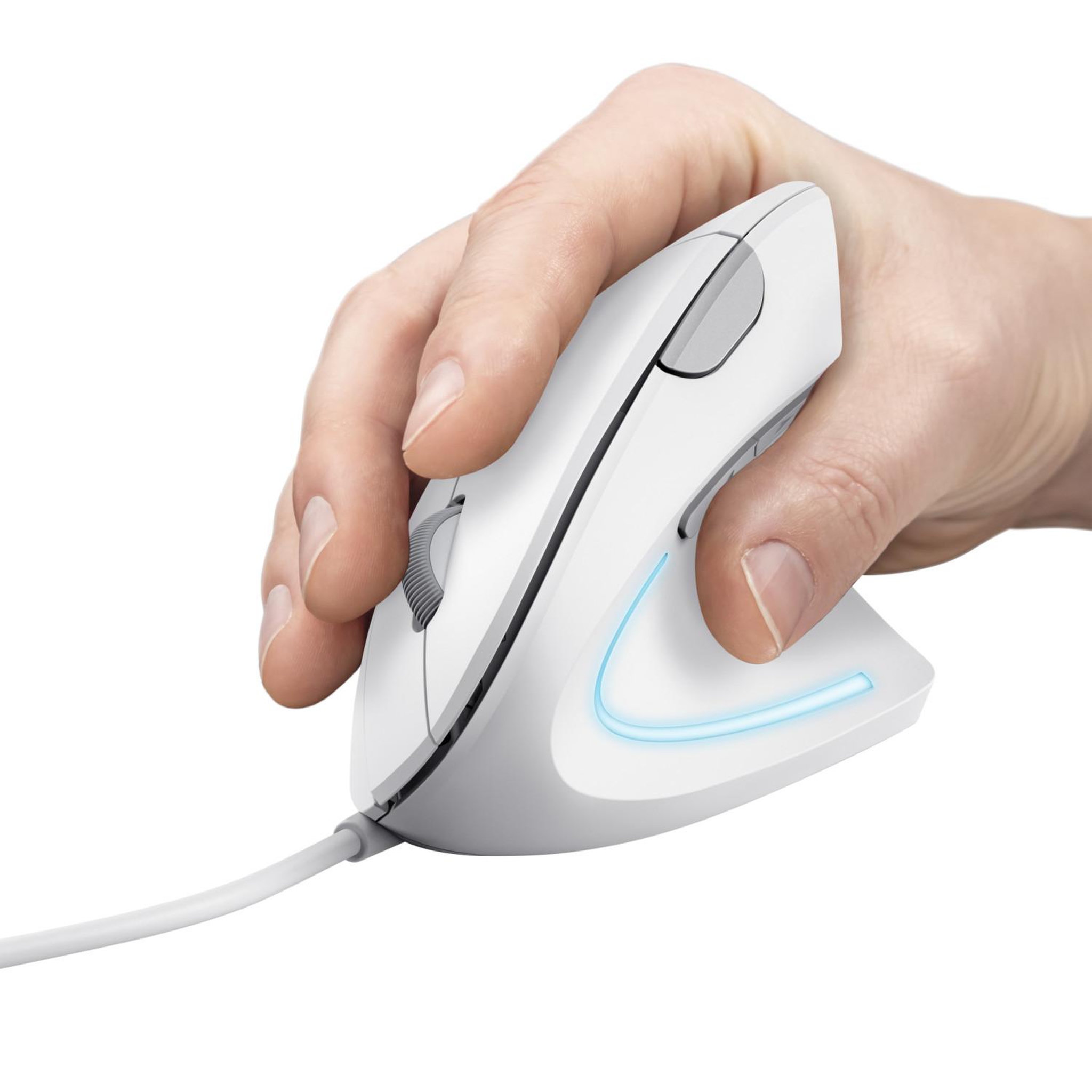 Voir la diapositive 3 : Trust Trust verto souris droitier usb type-a optique 1600 dpi