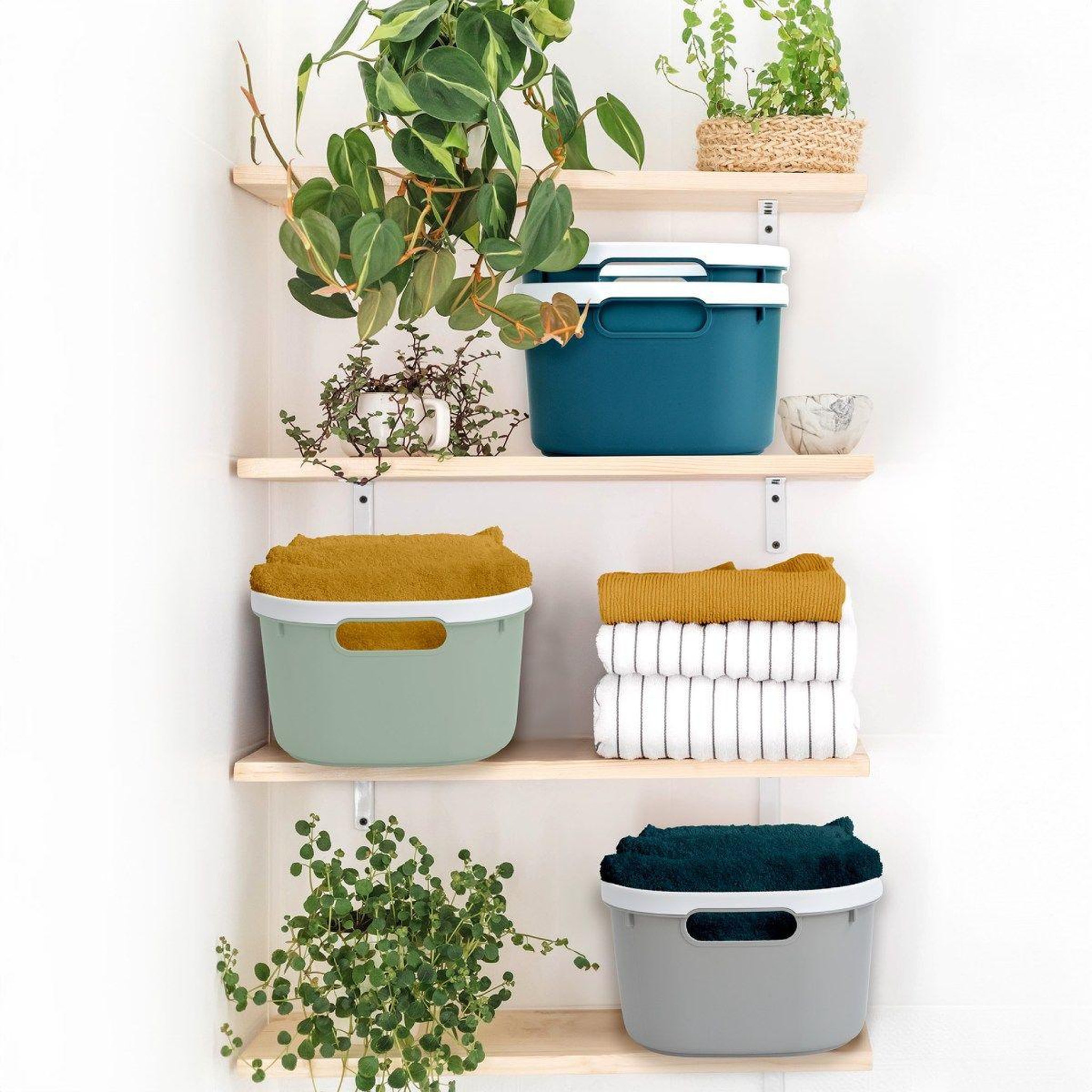 Voir la diapositive 2 : HOMEA Panière de rangement bicolore  poignées  30cm sauge