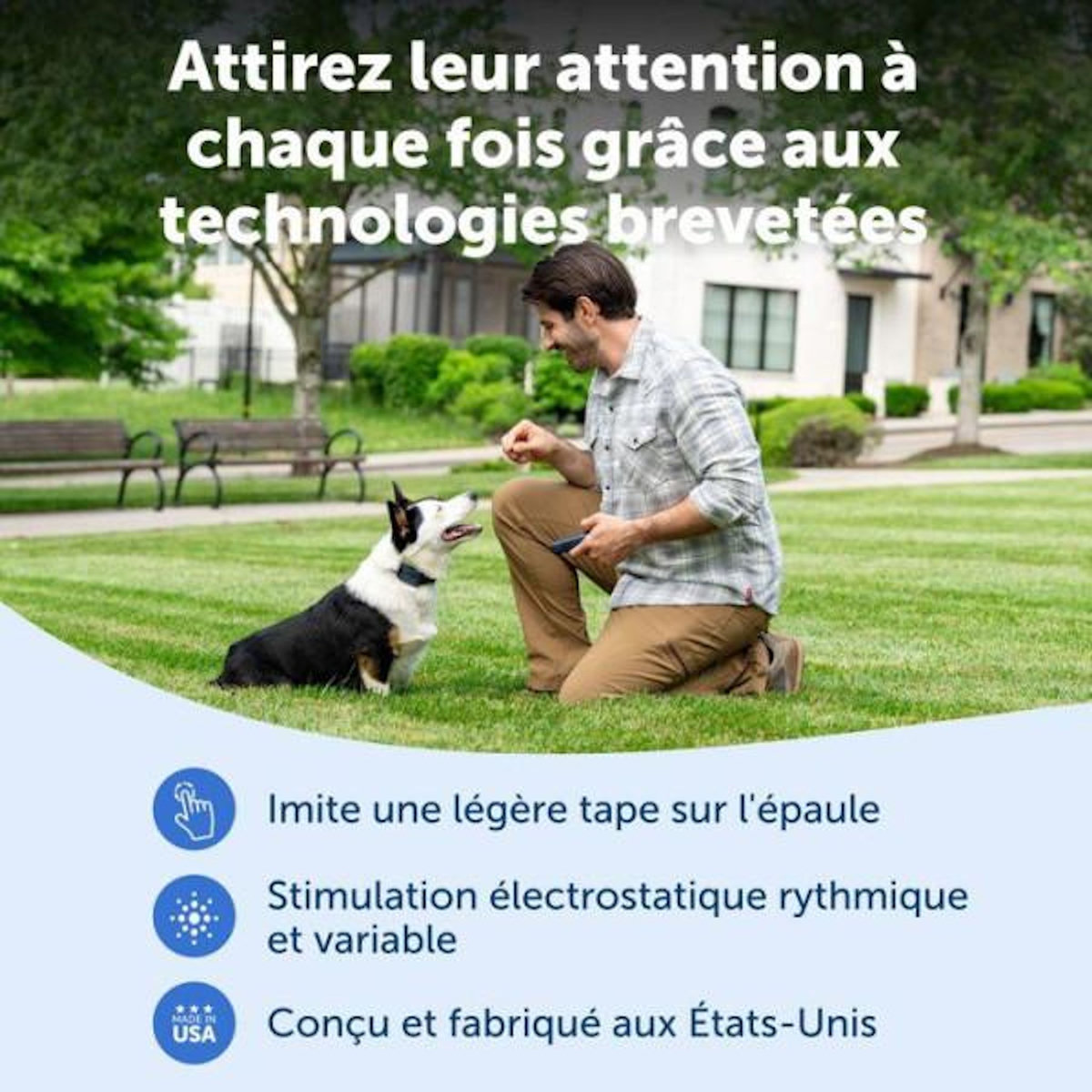 PETSAFE Systeme d'aide a l'éducation - PETSAFE - Pro - Portée 300 m - Dressage du chien