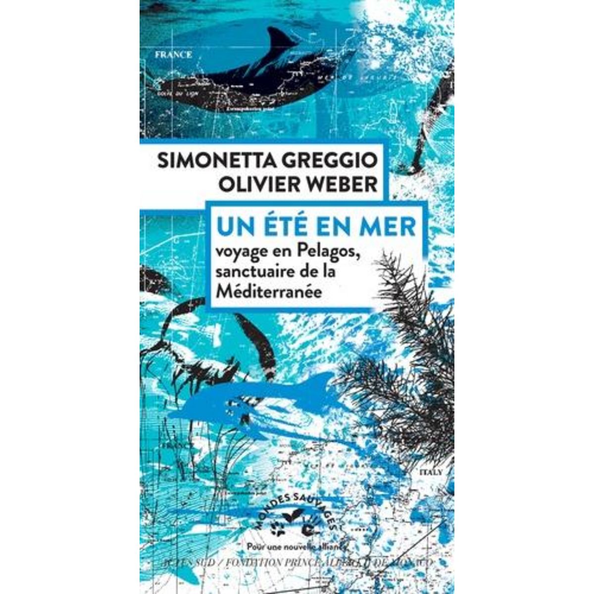 UN ETE EN MER. VOYAGE EN PELAGOS, SANCTUAIRE DE LA MEDITERRANEE, Greggio Simonetta