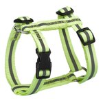 Paris Prix Harnais Réglable Réfléchissant  Essentiel  35-50cm Jaune