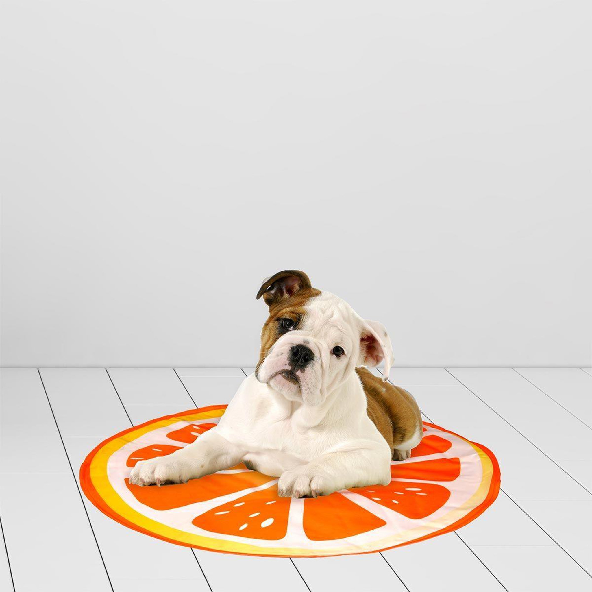Voir la diapositive 2 : HOMEA Matelas Rafraîchissant pour Animaux  Fruit  60cm Orange