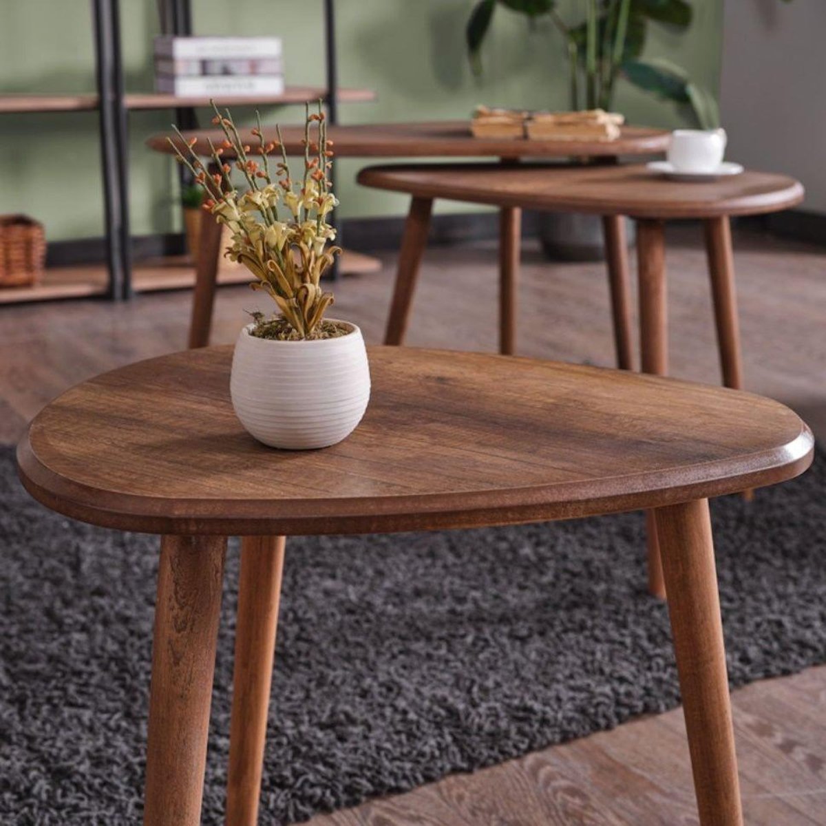 Habitat et Jardin Ensemble de table basse en bois  Alvin  80 x 52 x 50 cm - Noyer