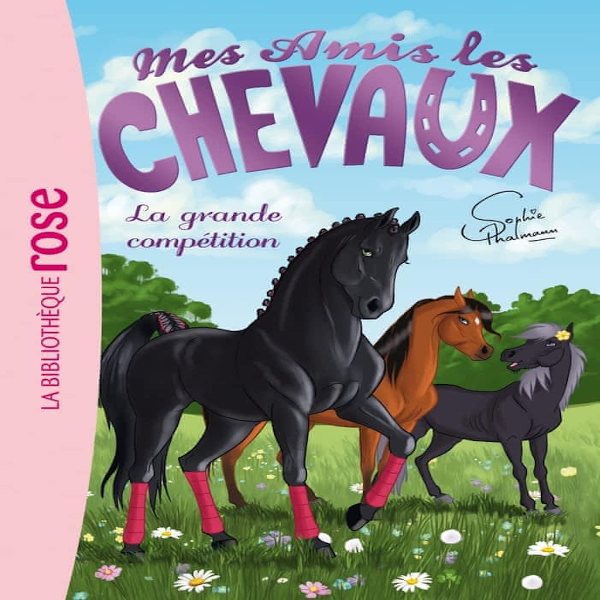 MES AMIS LES CHEVAUX TOME 2 : LA GRANDE COMPETITION, Thalmann Sophie