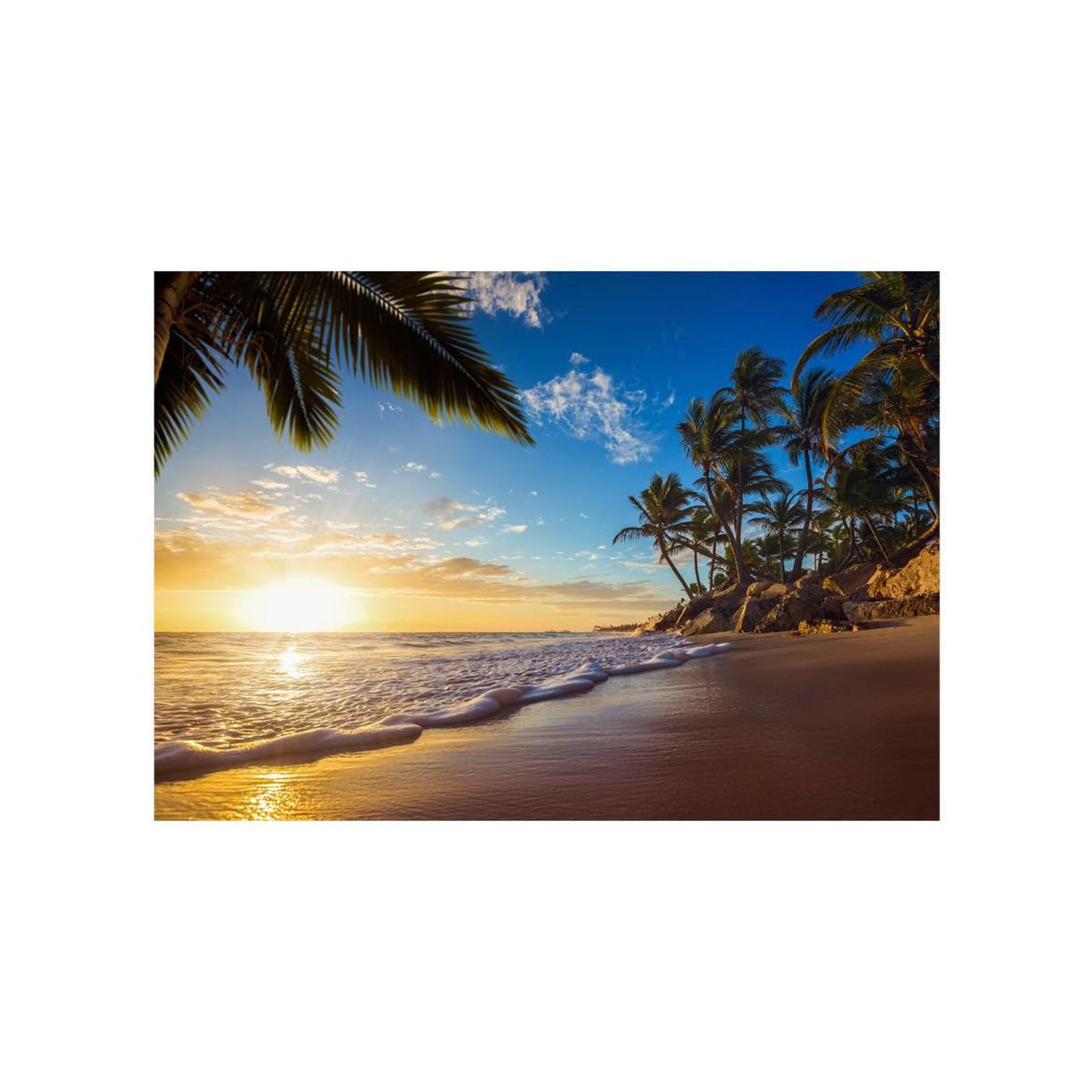 Voir la diapositive 2 : Paris Prix Papier peint  tropical beach