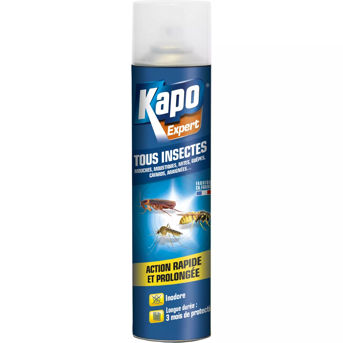 Kapo Insecticide aérosol tous insectes KAPO, 300 ml