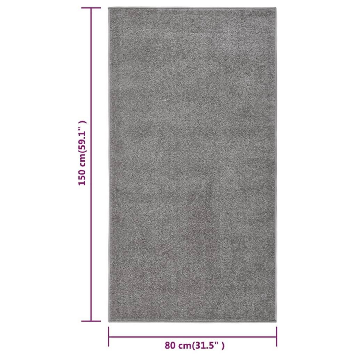 VIDAXL Tapis a poils courts 80x150 cm Gris