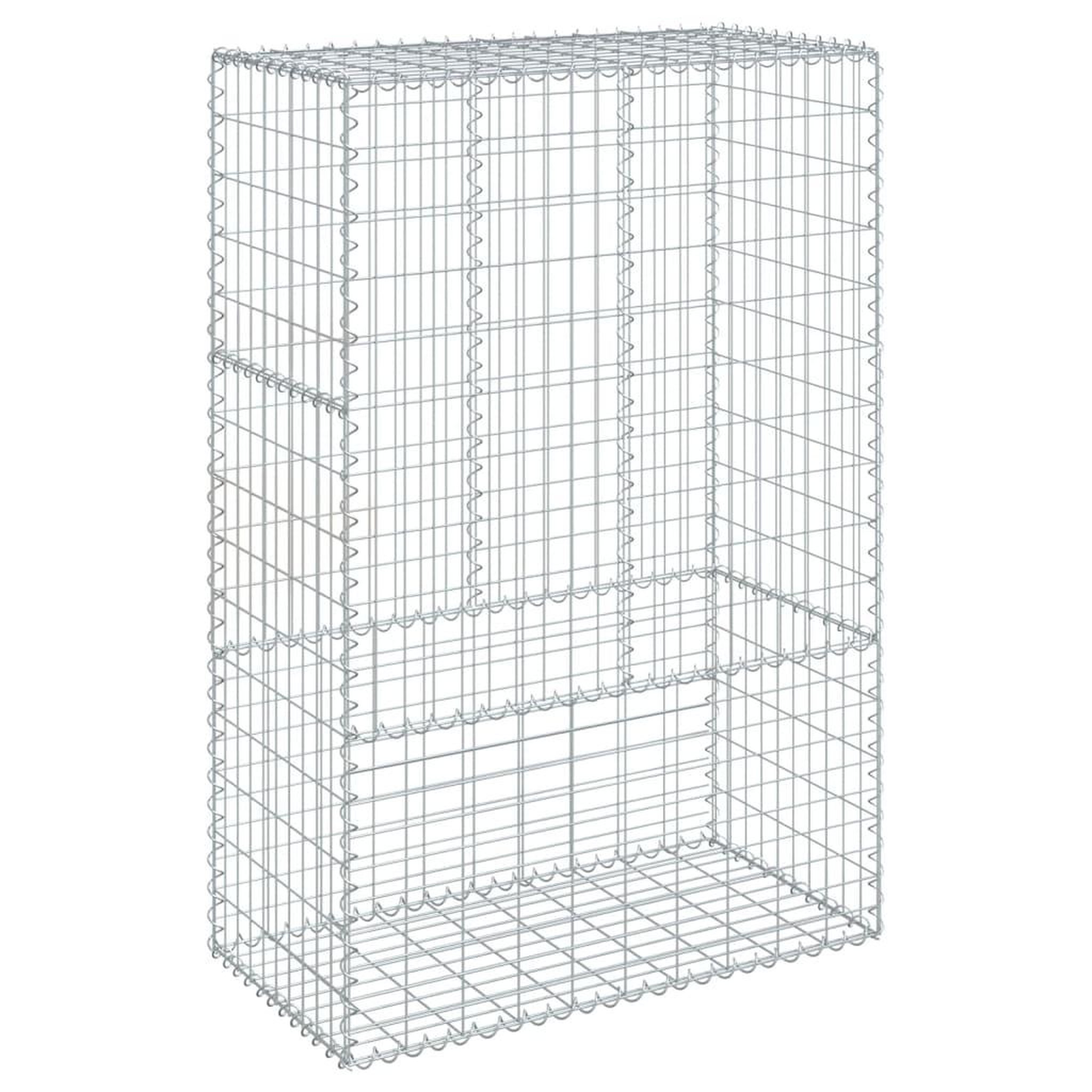 Voir la diapositive 2 : VIDAXL Panier gabion avec couvercle 100x50x150 cm fer galvanise