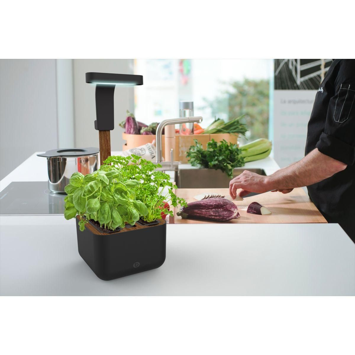 ESSENTIEL B Jardin d'intérieur Adam