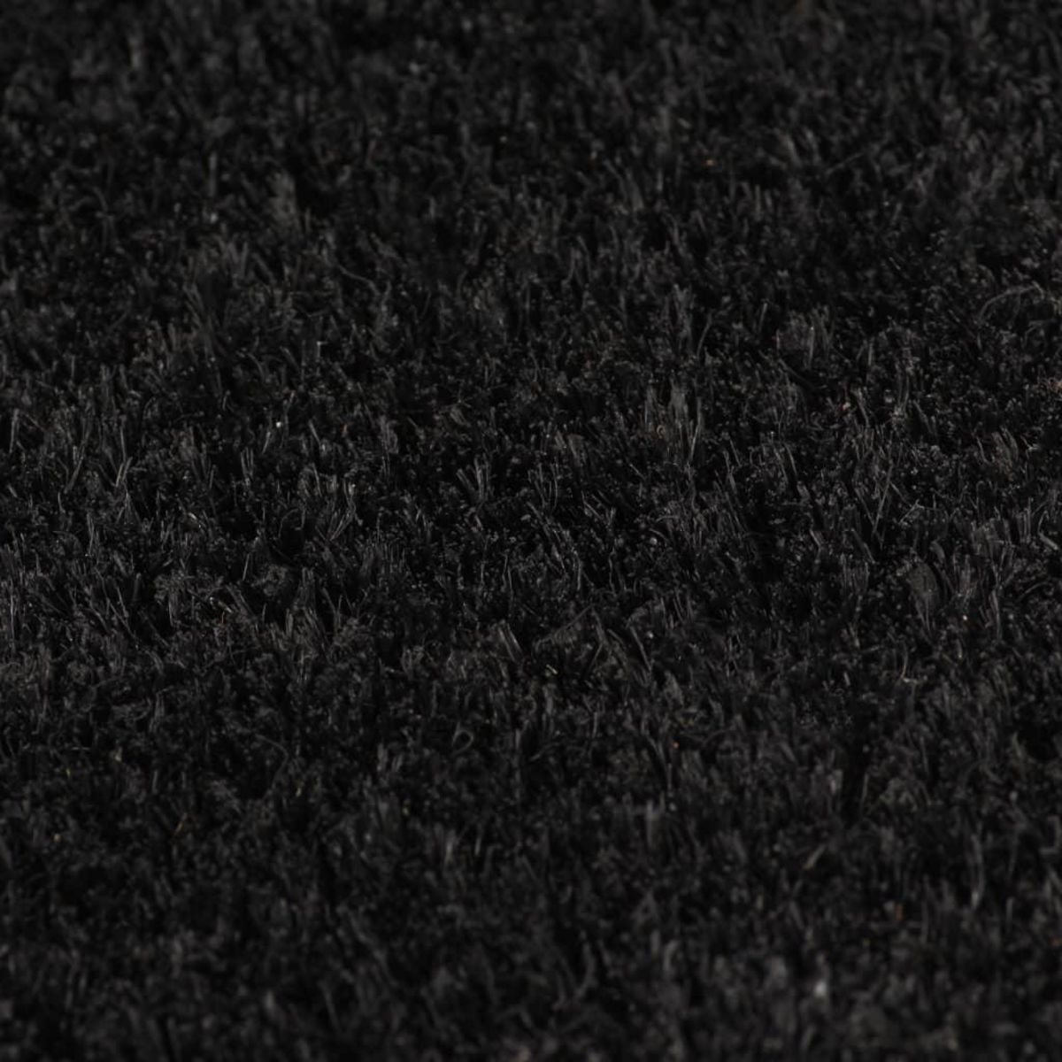 VIDAXL Tapis de porte 5 pcs noir 40x60 cm fibre de coco touffete