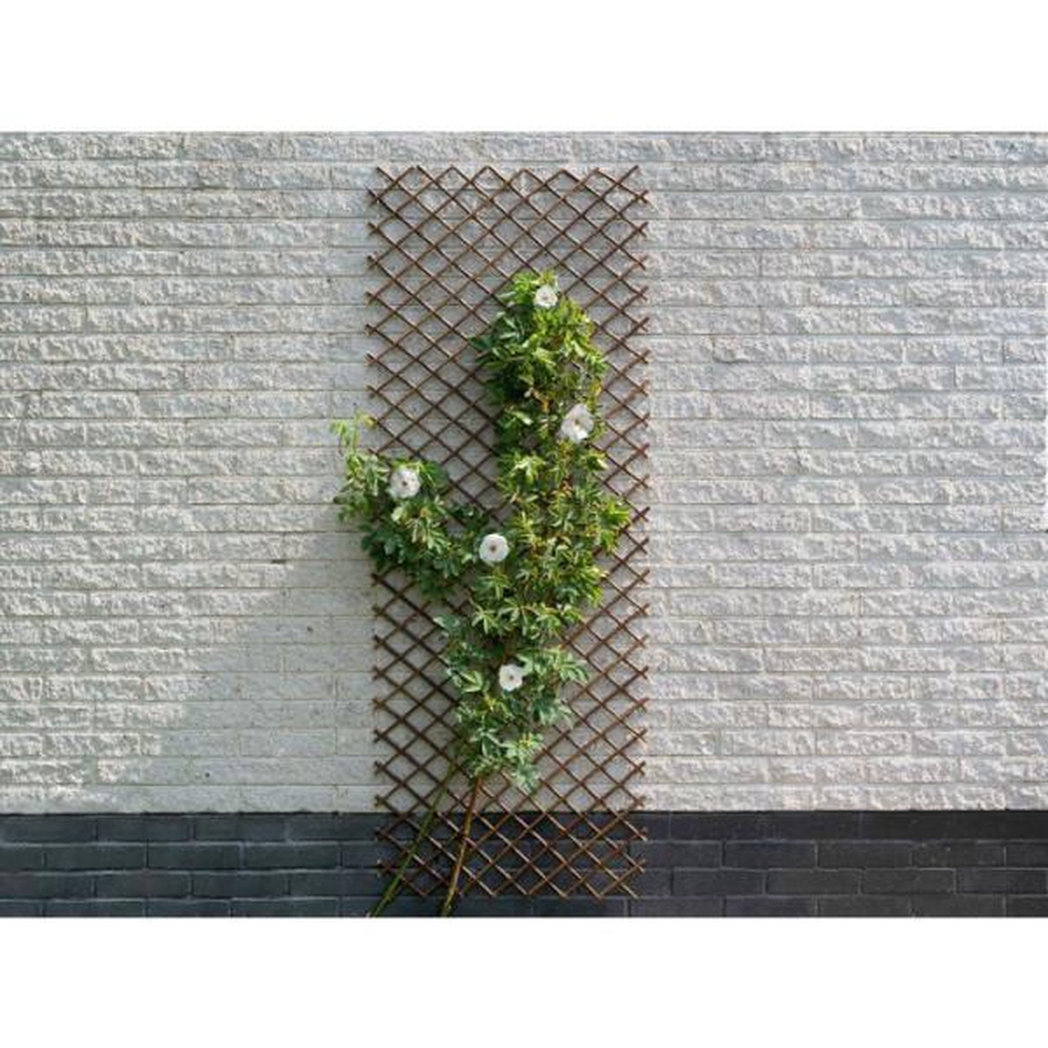 Voir la diapositive 3 : NATURE Nature treillis de jardin 30x180 cm saule naturel marron 446397