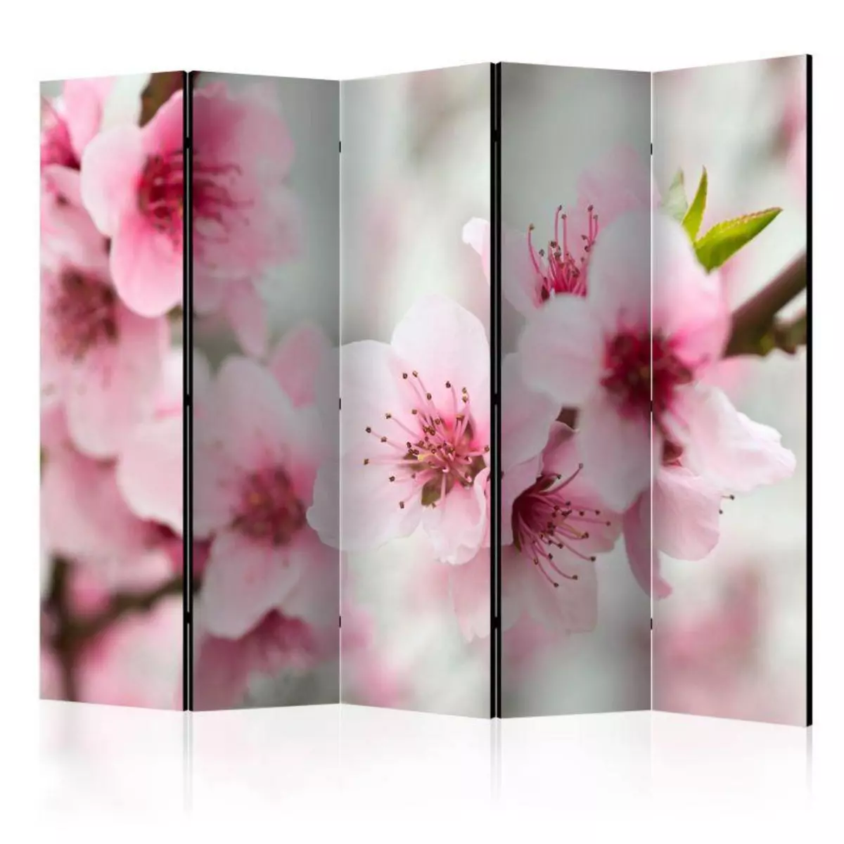 Paris Prix Paravent 5 Volets  Spring Blooming Tree Pink Flowers  172x225cm