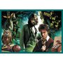 Trefl Puzzles de 20 à 48 pièces : 10 puzzles : Dans le monde de Harry Potter