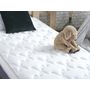Voir la diapositive 5 : Ensemble matelas+sommier AVIGNON, couchage 90x190cm, matelas mousse HR + LATEX  