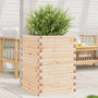 Voir la diapositive 1 : VIDAXL Jardiniere 50x50x68,5 cm bois de pin massif