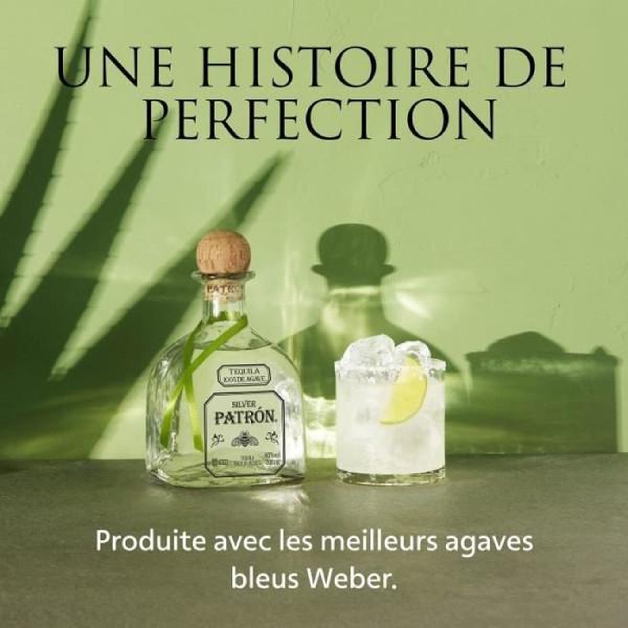 Voir la diapositive 4 : PATRON Tequila patrón silver premium 70 cl - 40°