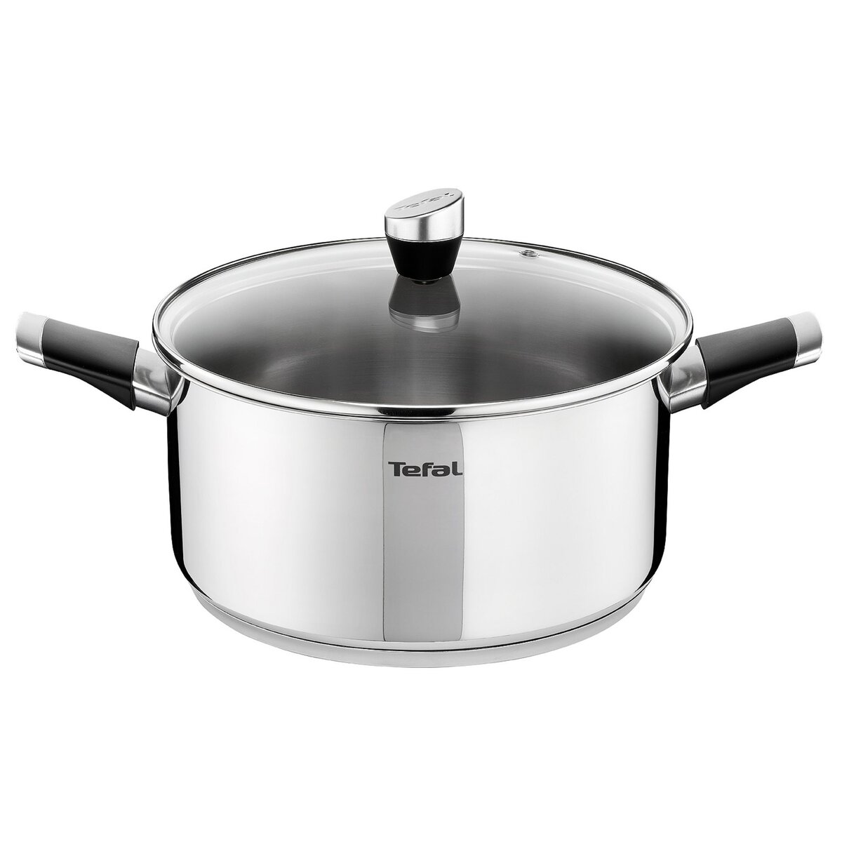 TEFAL Emotion faitout inox 24 cm induction pas cher Auchan.fr
