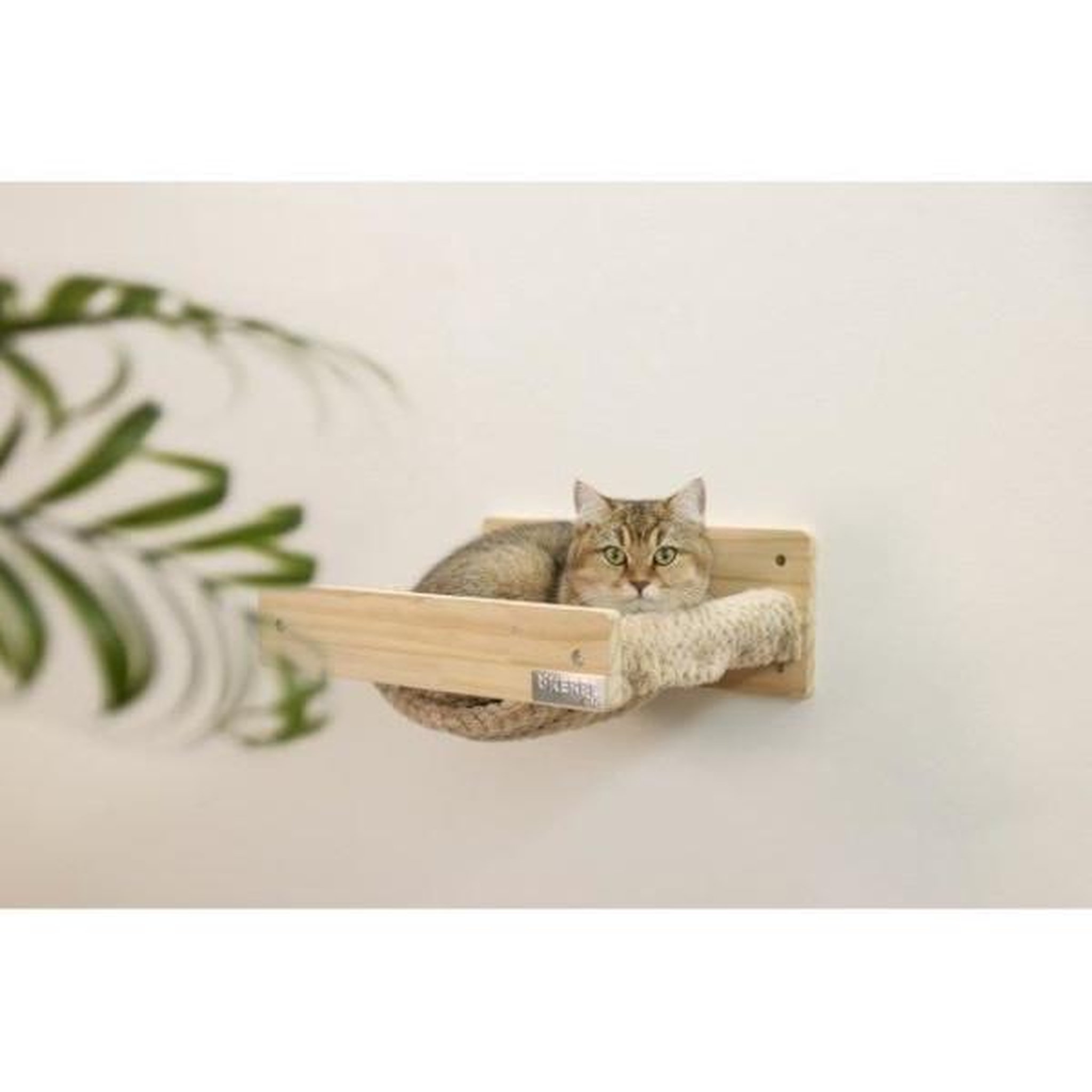 Voir la diapositive 3 : KERBL KERBL - Hamac mural pour chats - TIMBER - 38 x 33,5 x 16 cm - Bois massif - Tissu peluche