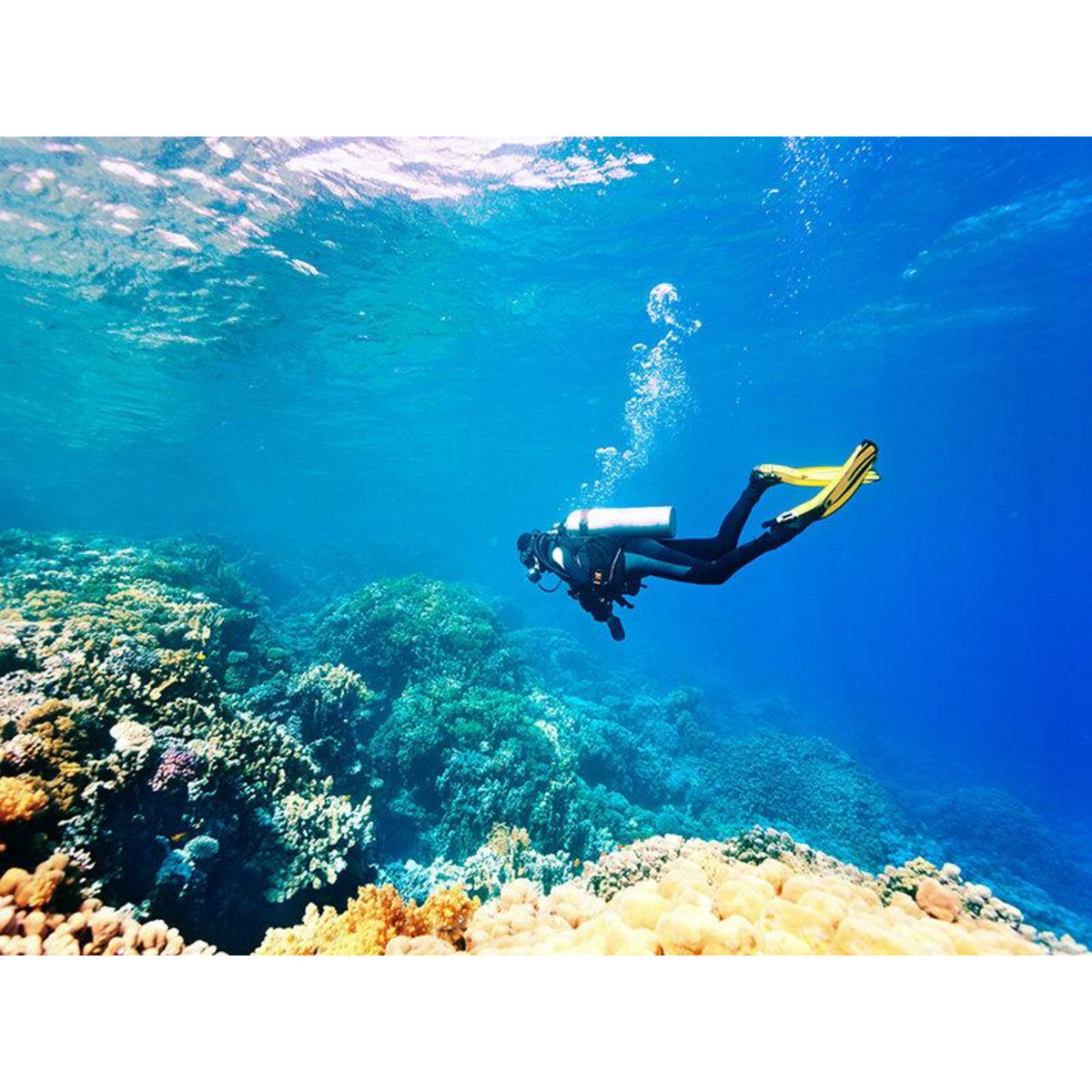 Smartbox Carte cadeau Aventure - 150 € - Coffret Cadeau Multi-thèmes