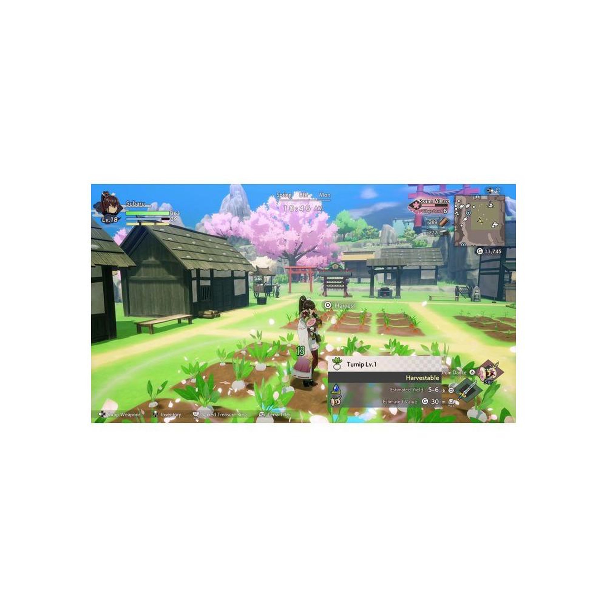 Voir la diapositive 2 : Koch Media Rune Factory Guardians of Azuma PS5