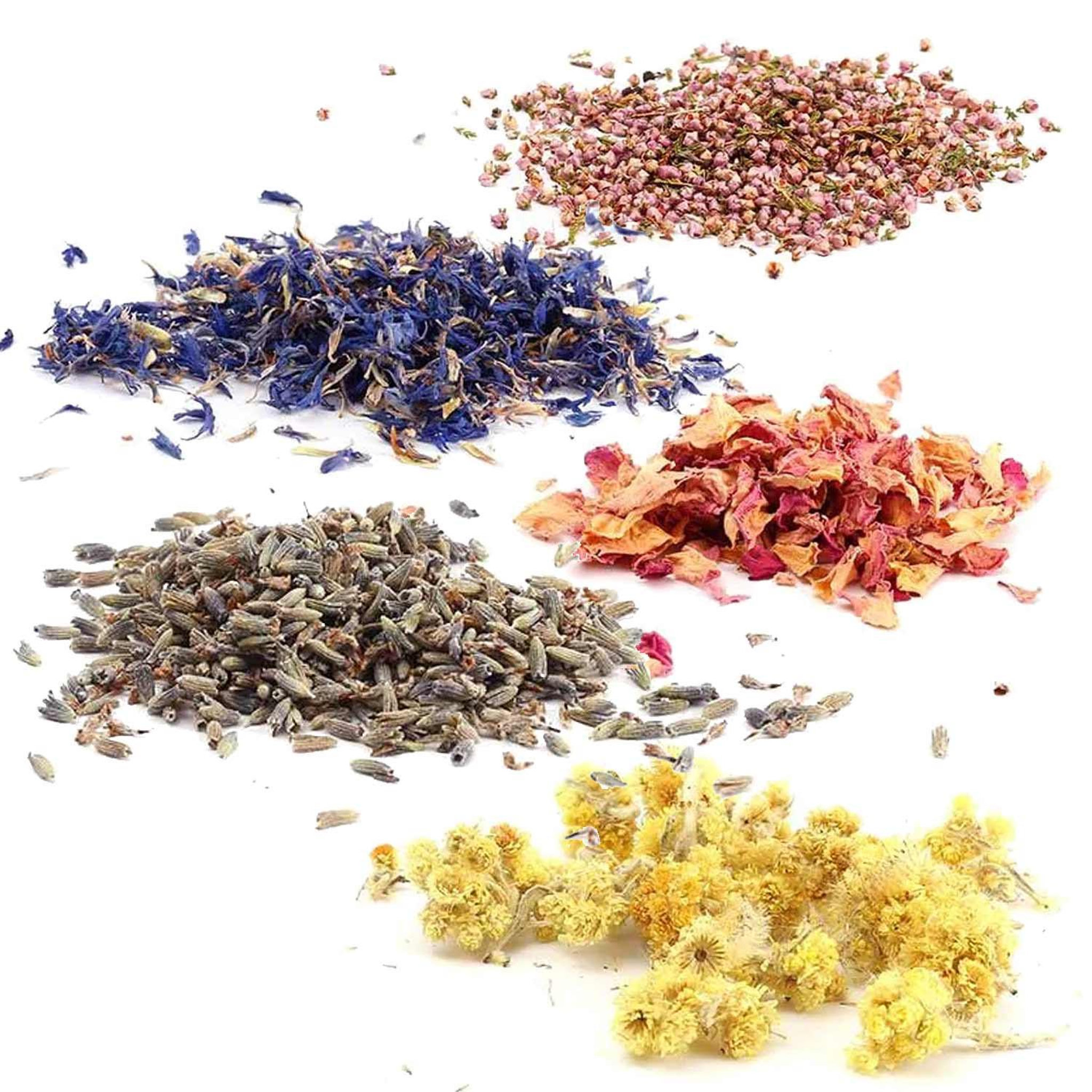Voir la diapositive 2 : Graine créative 8 bouquets de fleurs séchées décoratives 10 g