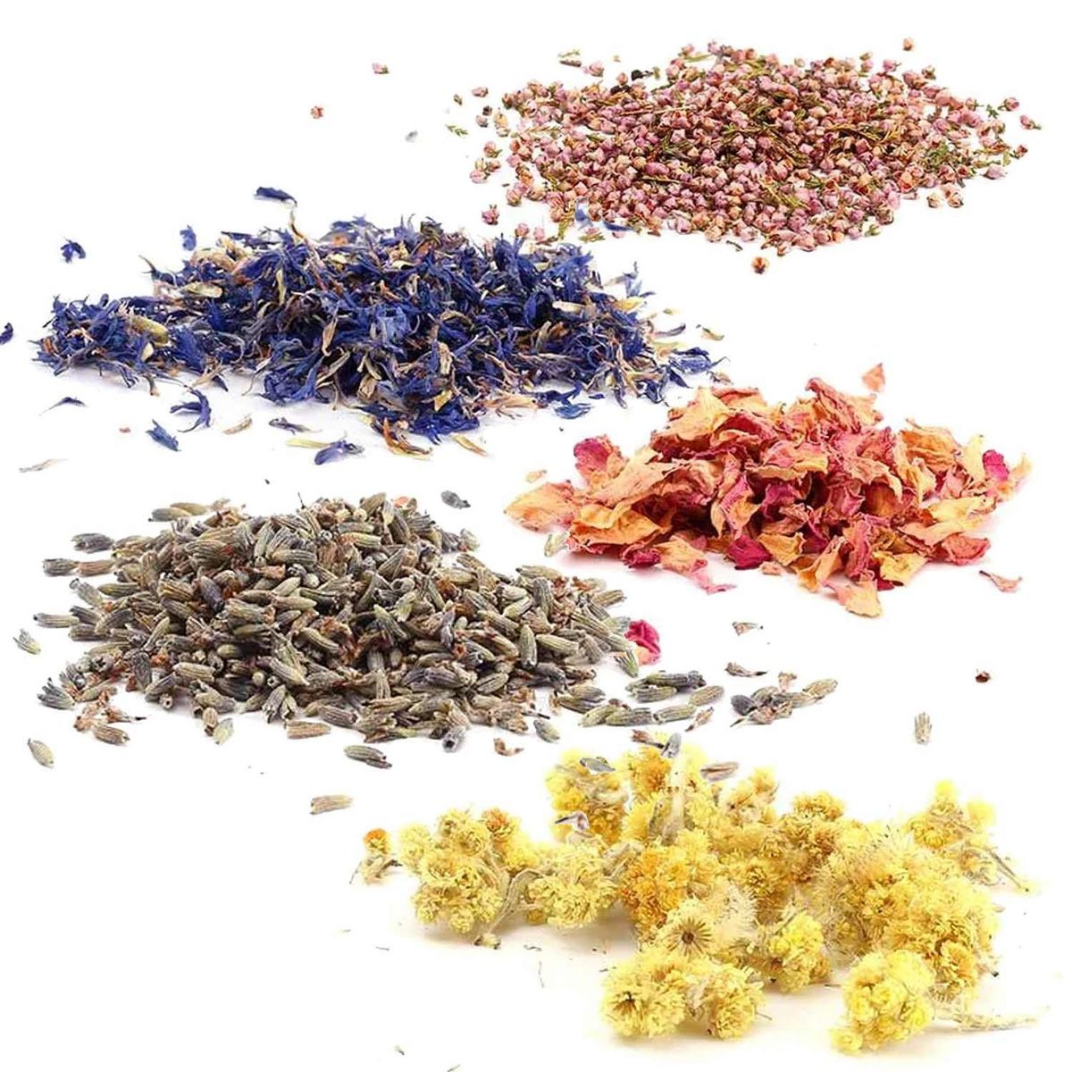 Graine créative 8 bouquets de fleurs séchées décoratives 10 g