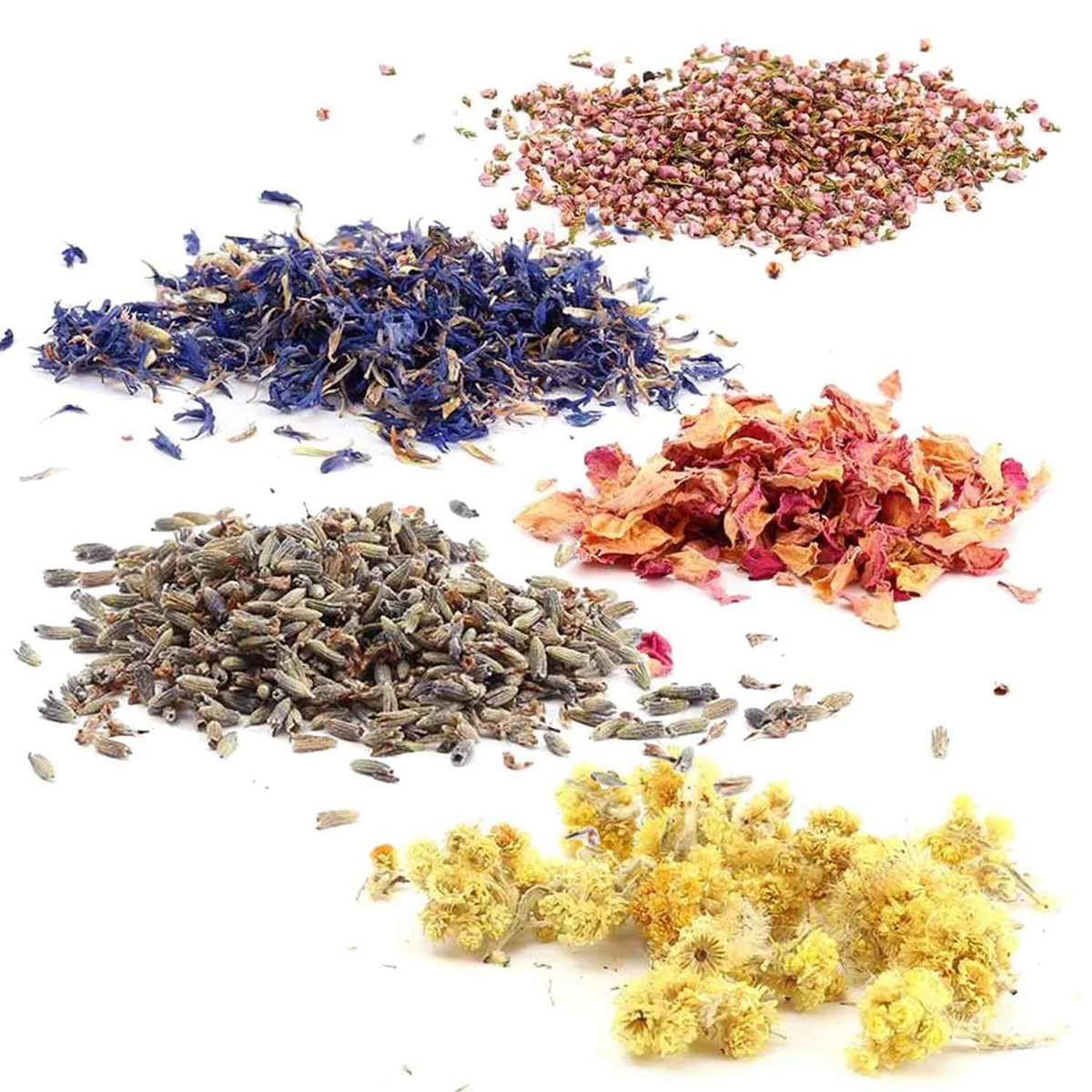 Graine créative 8 bouquets de fleurs séchées décoratives 10 g