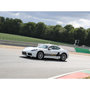 Voir la diapositive 2 : Smartbox 3 tours de pilotage en Porsche Cayman sur le circuit Dijon-Prenois - Coffret Cadeau Sport & Aventure