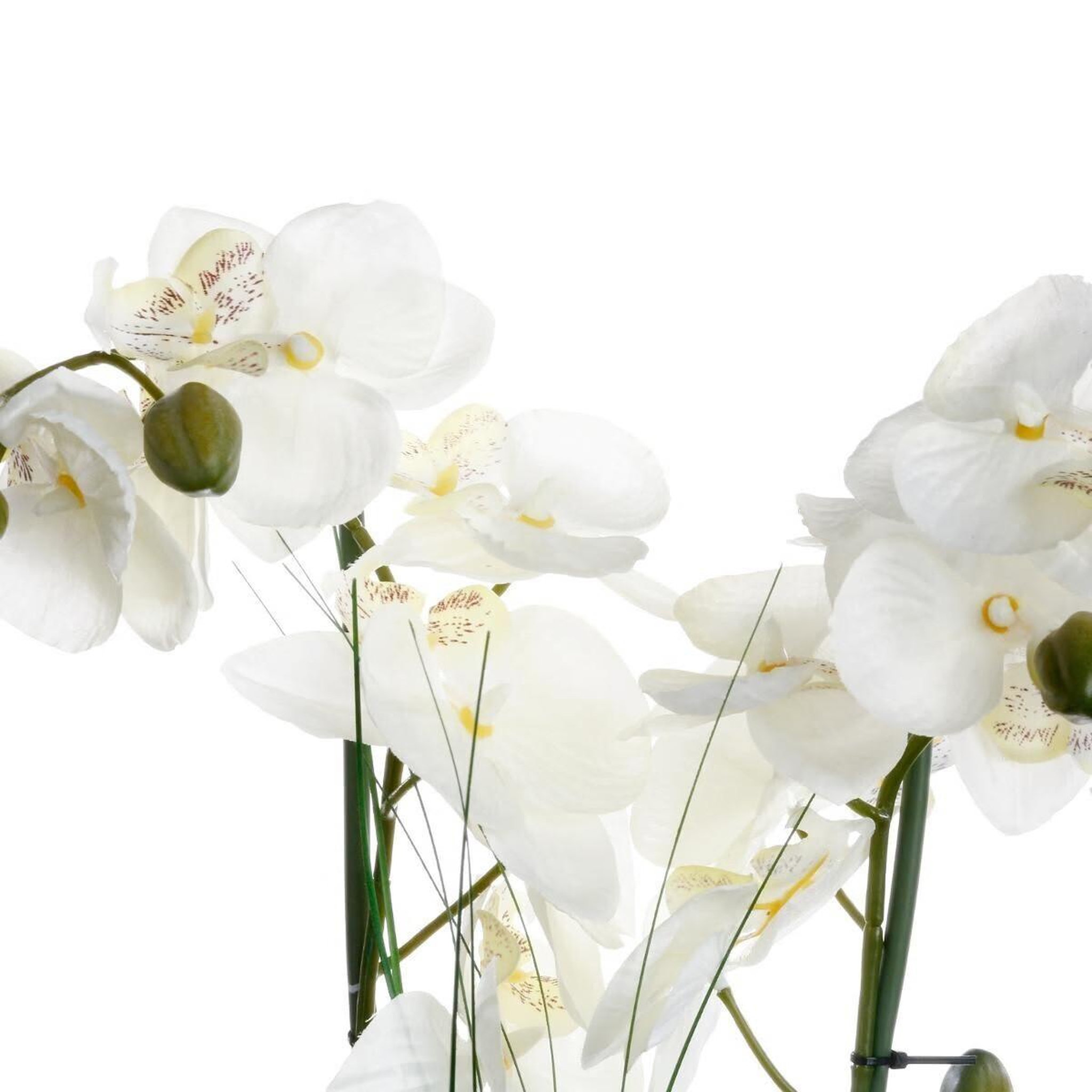 Voir la diapositive 2 : ATMOSPHERA Composition florale & vase  orchidée  53cm blanc