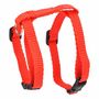 Voir la diapositive 2 : Paris Prix Harnais & Laisse pour Chat  Kit  120cm Rouge