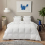 Voir la diapositive 1 : DUNLOPILLO Couette Premium - 30% duvet - Chaude