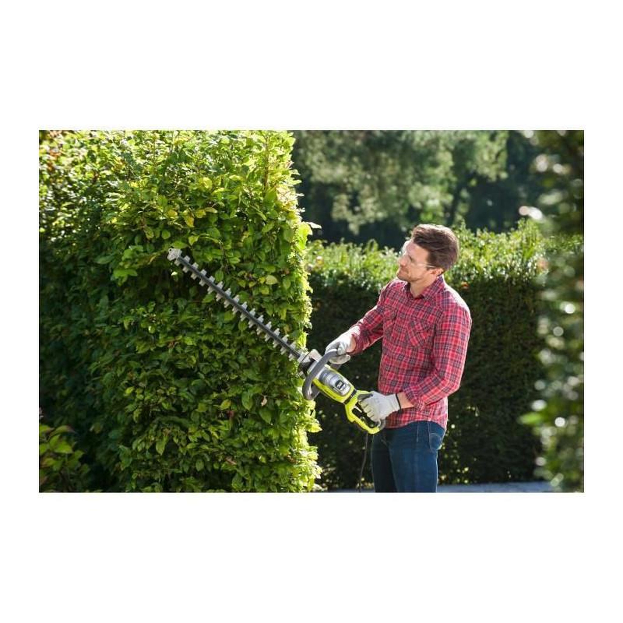Voir la diapositive 4 : Ryobi Taille-haies électrique ryobi - rht8165rl - 800w
