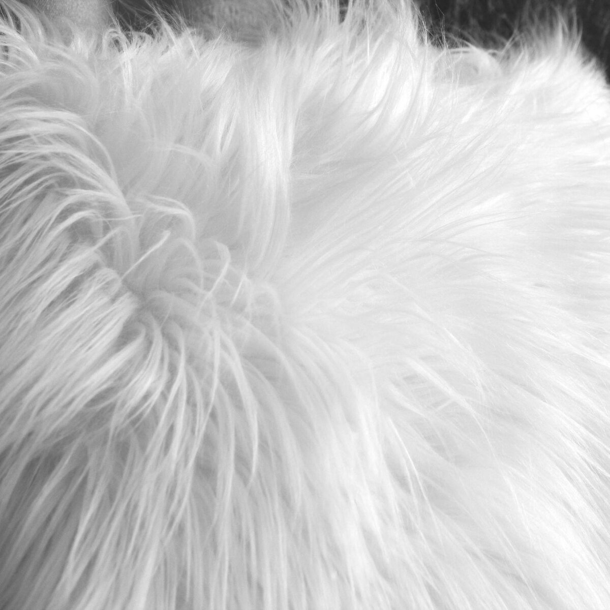 TOILINUX Coussin doux à poils longs Epicéa