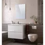 Meuble de salle de bain 1 vasque 2 tiroirs et miroir L80cm MIGUEL