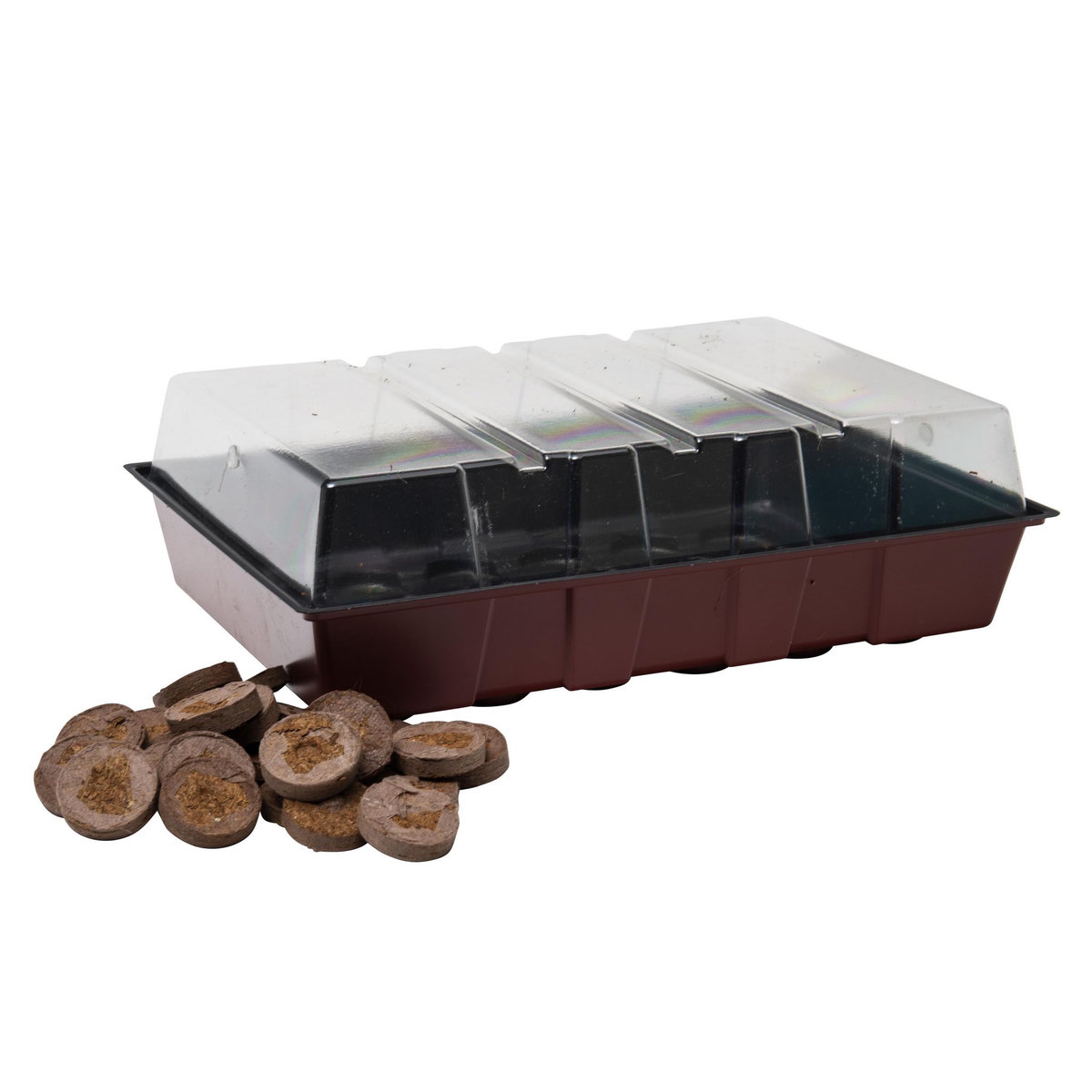  Serre avec 24 pastilles 35 x 23,5 x 11cm