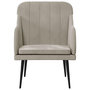 Voir la diapositive 3 : VIDAXL Fauteuil Gris clair 63x76x80 cm Velours