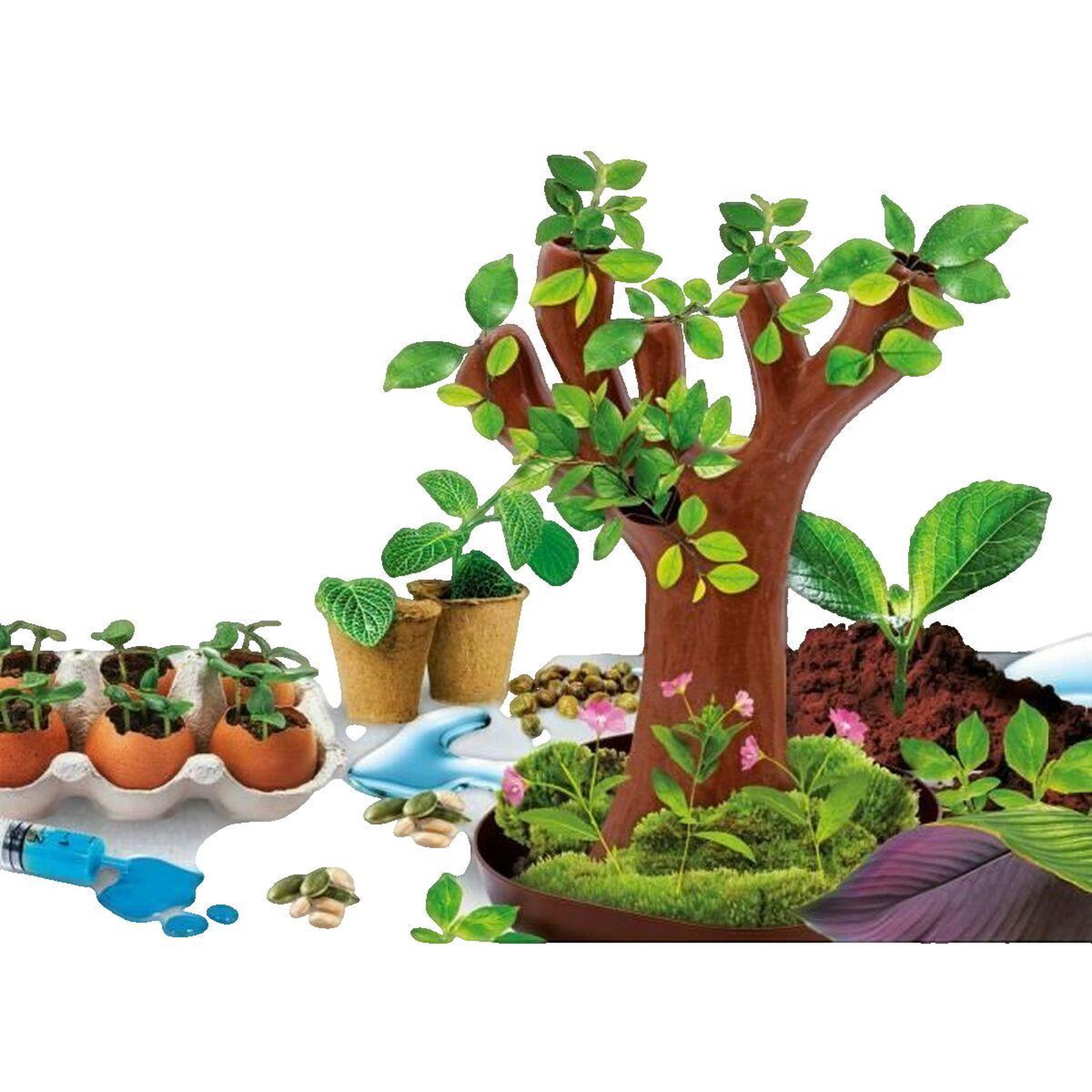 Voir la diapositive 2 : LISCIANI GIOCHI Jeu éducatif Lisciani-Giochi Génius Science botanique